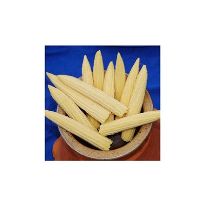 SWC09Minipop F1 Corn Seed (Confezione da 130) - Premier Seeds Direct