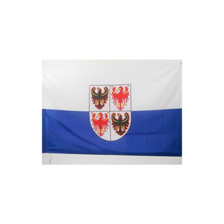AZ FLAG Bandiera Trentino-Alto Adige 150x90cm - Bandiera TRENTINA - REGIONE Italia 90 x 150 cm Foro per Asta precio