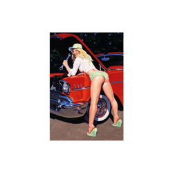Schatzmix Targa in Metallo Pinup Girl con Pasta, 20 x 30 cm en oferta