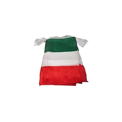 Ghirlanda 12 Metri 20 Bandiere Italia 45x30cm - Bandiera Italiana 30 x 45 cm - Festone BANDIERINE - Az Flag