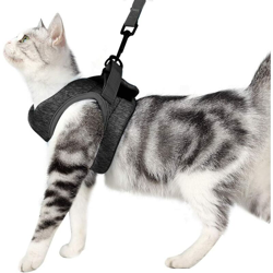 Imbracatura e guinzaglio per gatto Kitten collana Giacca a chat ultra-leggera con morbido e confortevole, impermeabile, adatto per cuccioli e conigli en oferta