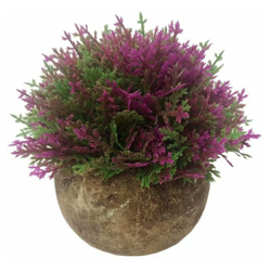 Artificiale Potter Pasta Asparago Bonsai Fiore Artificiale Fiore Artificiale Fiore Verde Plant Pianta Pianta Pianta Pianta Pianta Artificiale Pentola en oferta