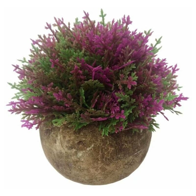 Artificiale Potter Pasta Asparago Bonsai Fiore Artificiale Fiore Artificiale Fiore Verde Plant Pianta Pianta Pianta Pianta Pianta Artificiale Pentola