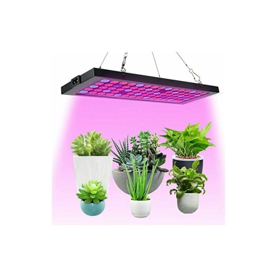 Lampada a LED Grow per piante da interni, a spettro completo, 100 W, lampada per piante, per serre, idroponica, verdure, piante grasse, sementi e