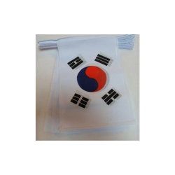AZ FLAG Ghirlanda 6 Metri 20 Bandiere Corea del Sud 21x15cm - Bandiera SUDCOREANA 15 x 21 cm - Festone BANDIERINE precio