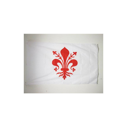 AZ FLAG Bandiera Firenze 150x90cm - Bandiera Firenze in Toscana 90 x 150 cm Foro per Asta precio