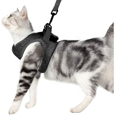 Perle Rareit - Imbracatura e guinzaglio per Cat Collana Tutor Giacca Chat Ultra-Light Running Dolce e confortevole, Impermeabile, Adatto per cuccioli