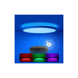 Smart LED plafoniera piatta cambia colore con telecomando, lampada da soffitto compatibile con Alexa Google Home, 24 W, 2400 lm, IP44, 2,5 cm, características