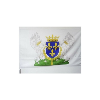 Bandiera Stemma Regno di Francia Carlo VI 150x90cm - Bandiera Reale Francese Charles VI 90 x 150 cm Foro per Asta - Az Flag