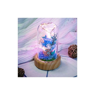Luce notturna Forever Rose con altoparlante Bluetooth, 3 modalità di luce colorata a forma di cuore rosa con lampada da comodino in vetro per San