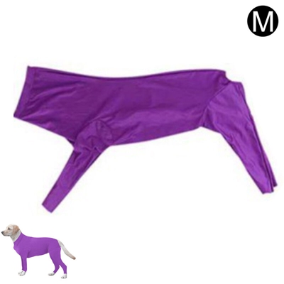 Teddy domestico, vestiti del cane dopo | Viola, M - Viola, M