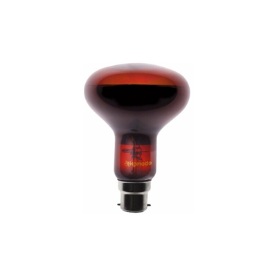 Night Spot Bulb R80 BC, 100 Watt - Komodo
