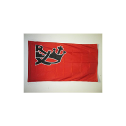 AZ FLAG Bandiera REXISMO 1930-1945 150x90cm - Bandiera Partito REXISTA - LÃ?ON DEGRELLE 90 x 150 cm Foro per Asta precio