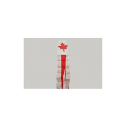 AZ FLAG Manica A Vento Canada 150cm - Bandiera Canadese 150 cm en oferta