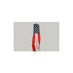 AZ FLAG Manica A Vento Stati Uniti 150cm - Bandiera Americana â USA 150 cm en oferta
