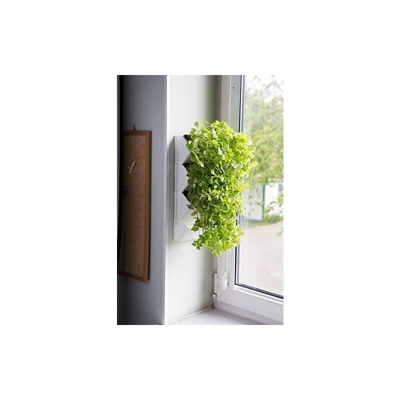 ModuÅ? Å?cienny Versa Garden Herbs 1000 g - Aquael