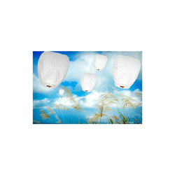 Lanterne ecologiche, per Natale, Capodanno, Cinesi, Feste, Eventi, Bianco - A Liittle Tree en oferta