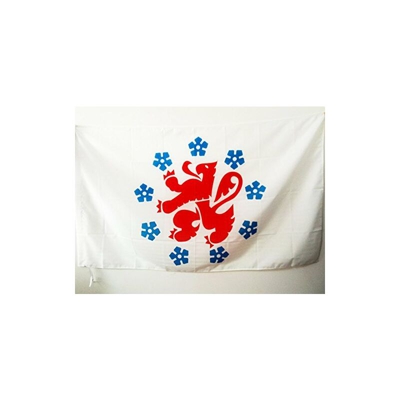 Bandiera COMUNITÃ? GERMANOFONA del Belgio 150x90cm - Bandiera DEUTSCHSPRACHIGE GEMEINSCHAFT BELGIENS 90 x 150 cm Foro per Asta - Az Flag