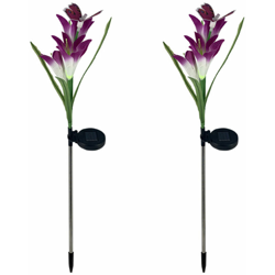 2 montato energia solare, il fiore del giglio decorativo ha condotto la luce viola características
