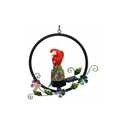 Giardino Luce Solare Ornamento, Pappagallo Prato Lampada Giardino Appeso Solare Luce Notturna da Esterno Prato da Esterno Illuminazione per Cortile en oferta