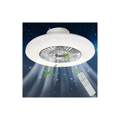 Ventilatore da soffitto con illuminazione e telecomando, silenzioso, dimmerabile con timer, velocitÃ del vento regolabile, 40 W, lampada da soffitto