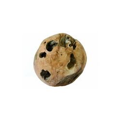 Sikagard 837 856 Teak Deco Sfera L aus Vollholz Teak? 52 cm características