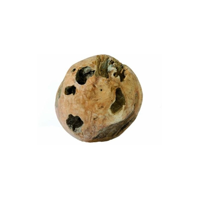 Sikagard 837 856 Teak Deco Sfera L aus Vollholz Teak? 52 cm