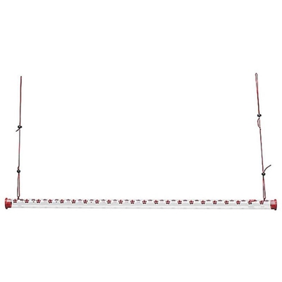 alimentatori colibr��, modelli trasparenti | 50 centimetri - 50 centimetri