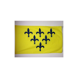 Bandiera DUCATO di Parma E Piacenza 1545-1731 150x90cm - Bandiera di Parma 90 x 150 cm Foro per Asta - Az Flag precio