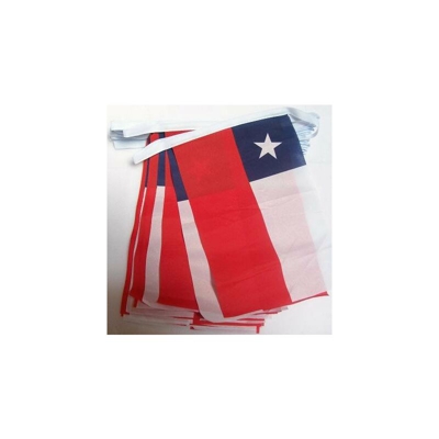 AZ FLAG Ghirlanda 6 Metri 20 Bandiere Cile 21x15cm - Bandiera CILENA 15 x 21 cm - Festone BANDIERINE