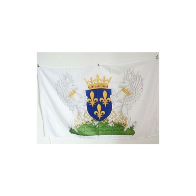 AZ FLAG Bandiera Stemma Regno di Francia Carlo VII 150x90cm - Bandiera Reale Francese Charles VII 90 x 150 cm Foro per Asta