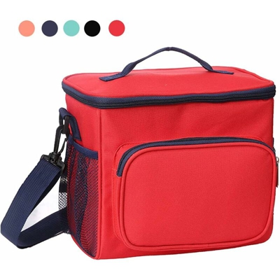 Borsa termica da 10 litri, borsa per il pranzo, borsa per il pranzo piccola, borsa da picnic leggera e impermeabile, borsa termica per il pranzo,
