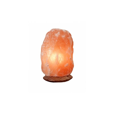 Lampe en Cristal de Sel - Pièce de 2 a 3 Kg