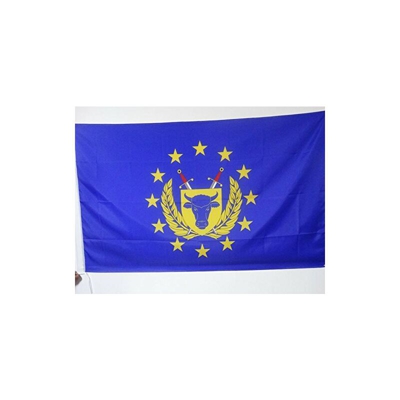 AZ FLAG Bandiera Forze Armate DELL'UNIONE Europea 150x90cm - Bandiera ARMATA UE - Europa 90 x 150 cm Foro per Asta