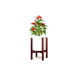 Plant Stands, Stand per Piante,Mensola per Fiori e Piante, Portavasi Fioriera Decorativa, Mid Century legno fioriera Holder Fioriera Scaffale Stand características