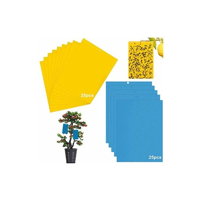 50 trappole adesive per insetti, colore giallo, per zanzare e zanzare per mosche bianche, afidi, foglia, Bergmann, tarme altri insetti, 15 cm x 20 cm