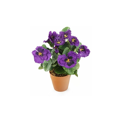 viola del pensiero finta con terriccio artificiale a vista - Closer2nature