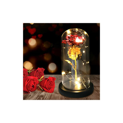 Rosa con paralume in vetro, rosa artificiale, 2 m, 20 LED a forma di rosa in vetro, con bella e la bestia, funzionamento a batteria AAA, per características