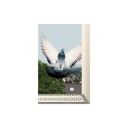 Uccello repellente di set, 50778 - Schellenberg precio