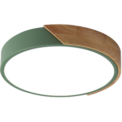 Asupermall - AC220-240V 24W LED Plafoniera circolare circolare per corridoio Scala Corridoio Balcone Soggiorno Camera da letto,Verde | tipo 2 características