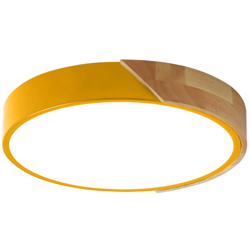 Asupermall - AC220-240V 24W LED Plafoniera circolare circolare per corridoio Scala Corridoio Balcone Soggiorno Camera da letto,Arancione | tipo 1 características