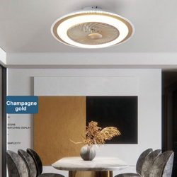 Lampada moderna per ventilatore a soffitto con telecomando Luce a 3 colori 3 velocita Vento 60 cm Ventilatori a soffitto 220V Illuminazione a LED per características