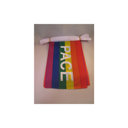 Ghirlanda 6 Metri 20 Bandiere Arcobaleno Pace 21x15cm - Bandiera Pace - Rainbow Flag 15 x 21 cm - Festone BANDIERINE - Az Flag características
