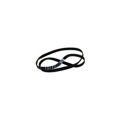 Universale - CINGHIA RIGATA 1287 H8