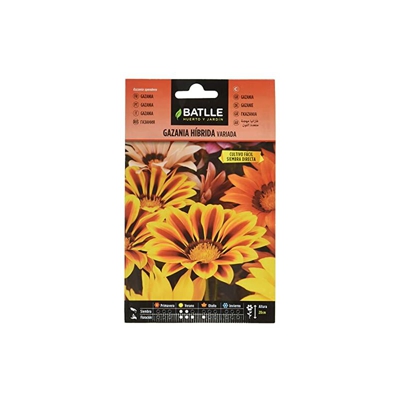 Semi di Fiori - Gazania Ibrida splendens assortita - Batlle