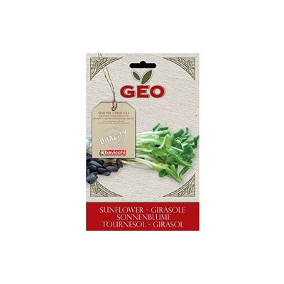 Geo Girasole Semi da Germoglio, Marrone, 12.7x0.7x20 cm