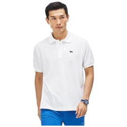 Polo L1212 001 Uomo Taglia 6 precio