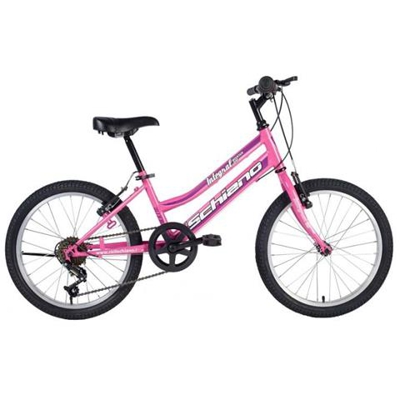 Bici Mountain Bike Integral Donna Power Viola / Bordeaux 26'' F. lli Schiano