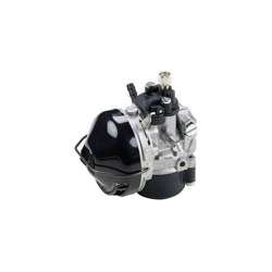 Senza Marca/generico - Carburatore dell'orto SHA 14/12 per motore compatibile características
