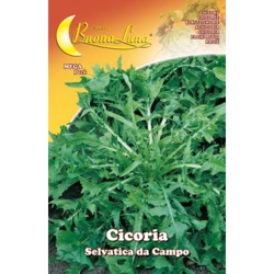 Hortus Sementi - SEMI ORTO CICORIA SELVATICA precio